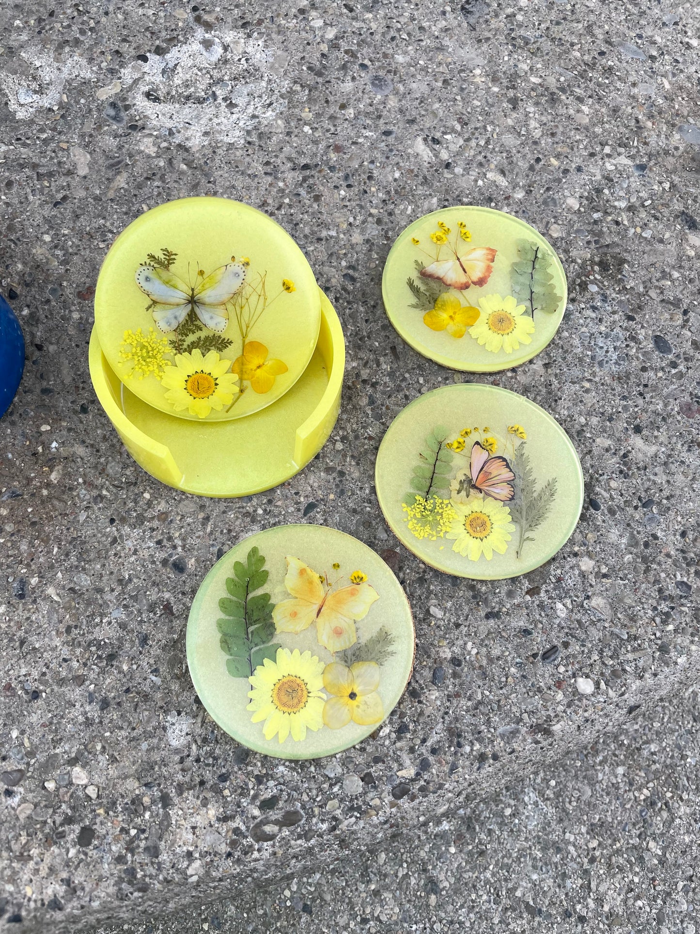 Butterly Floral Coaster and Holder
