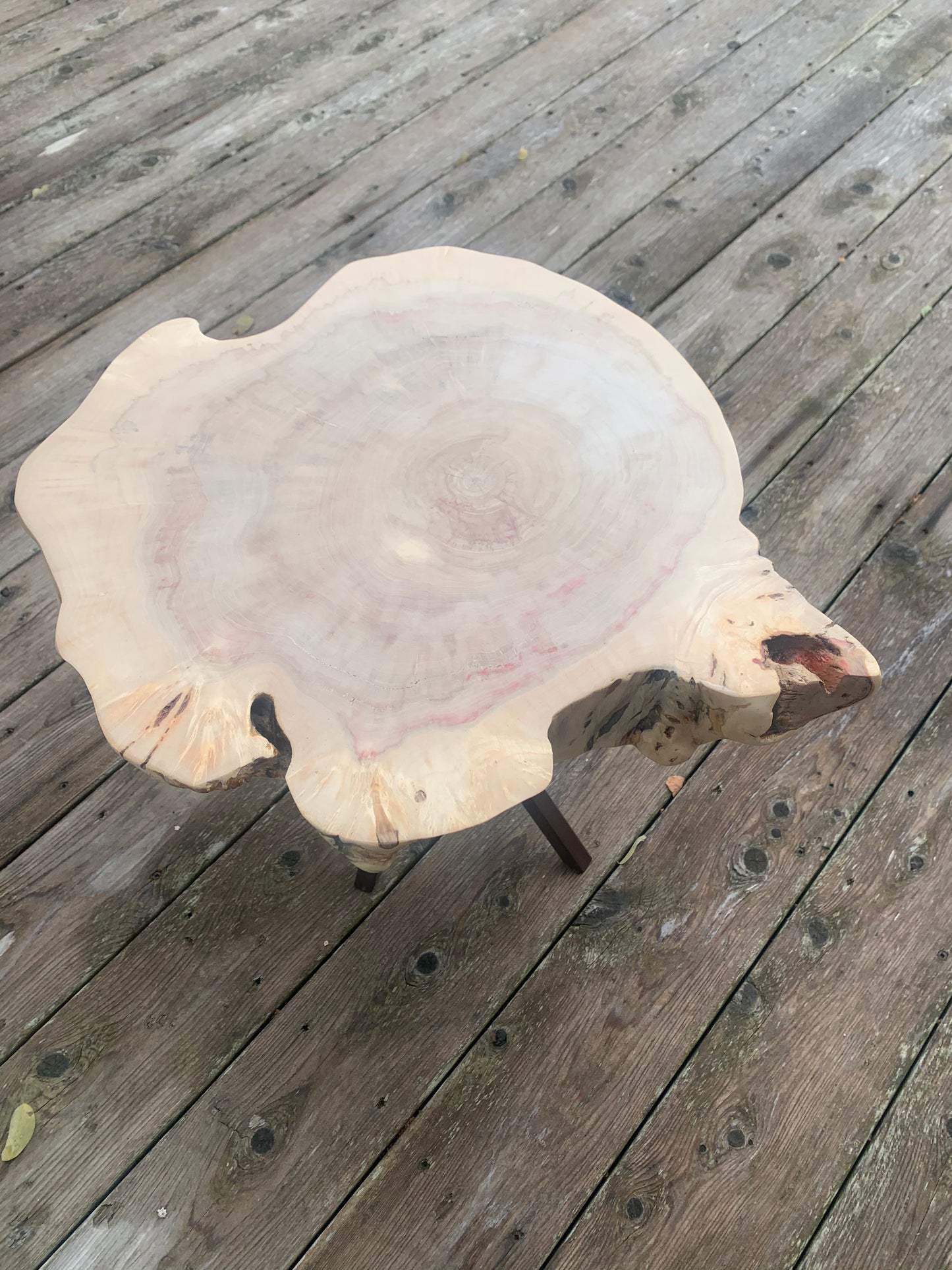 Manitoba Maple Cookie Table
