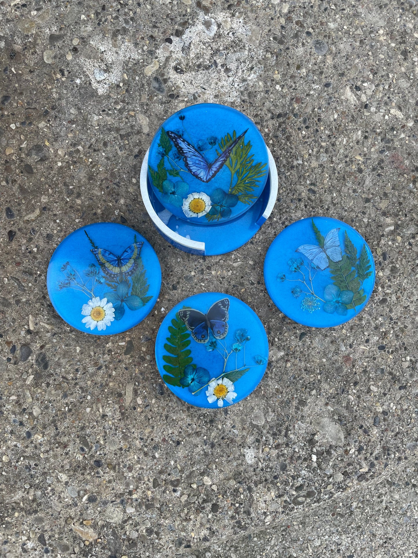 Butterly Floral Coaster and Holder