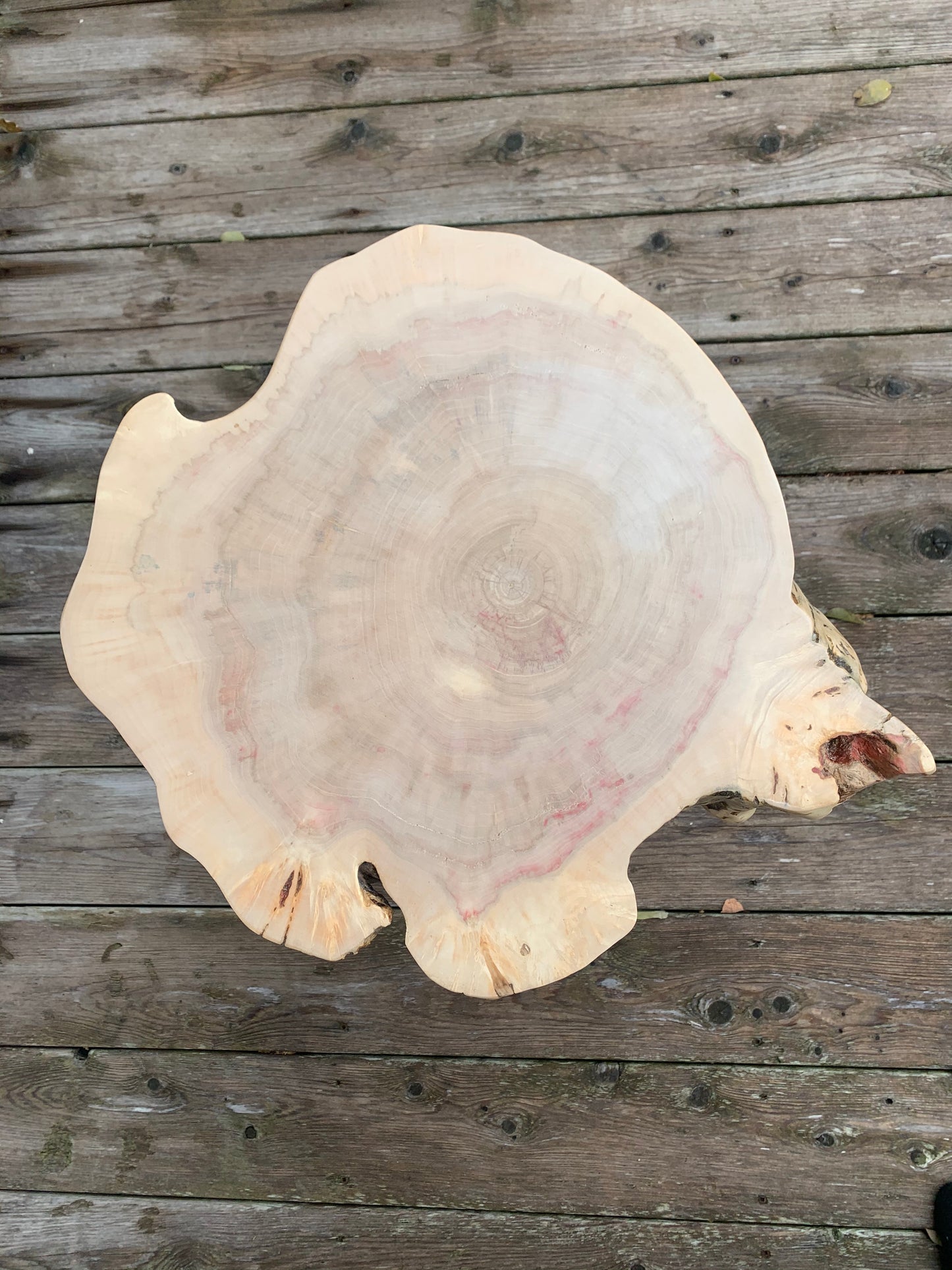 Manitoba Maple Cookie Table