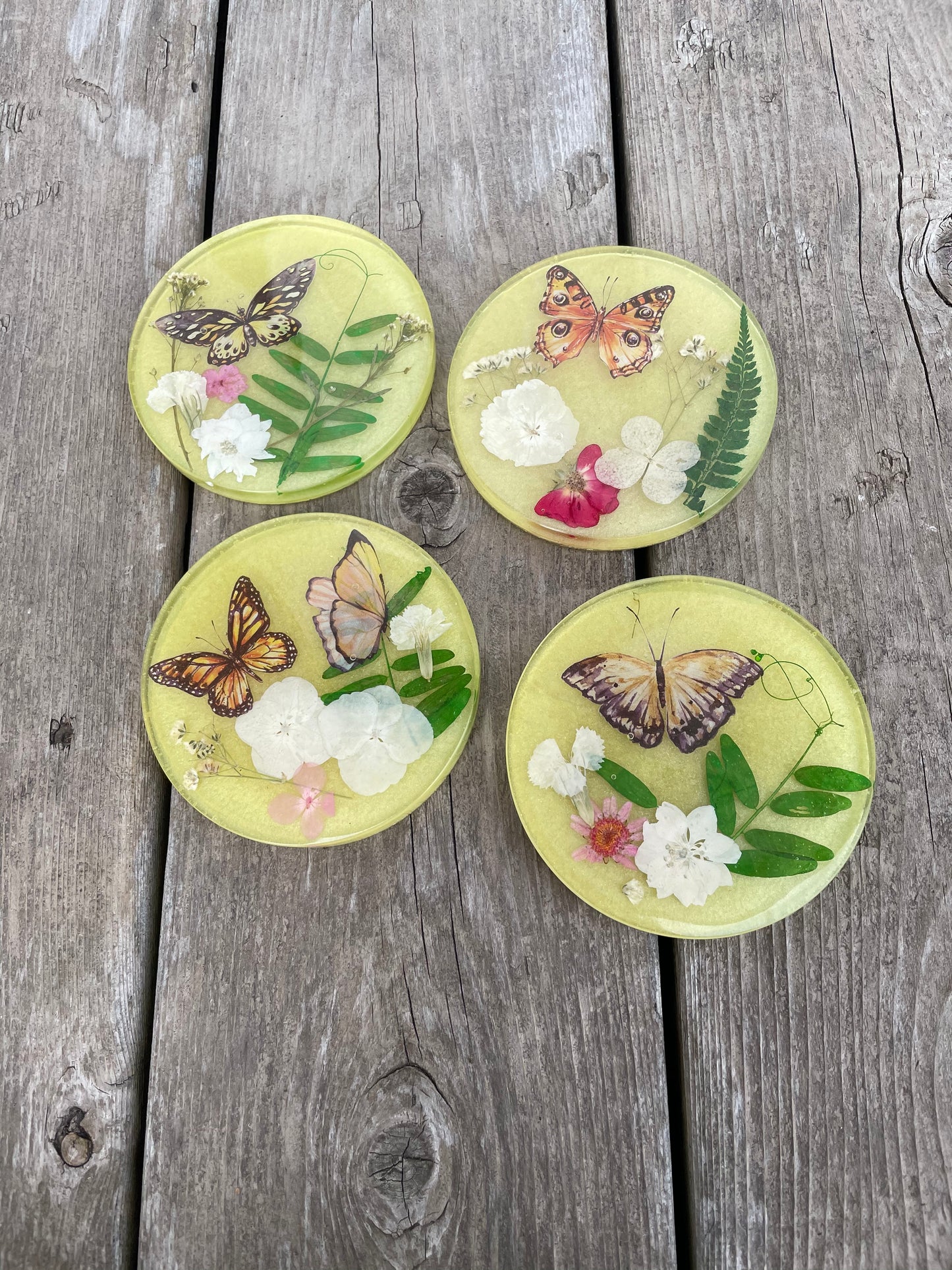 Butterly Floral Coasters