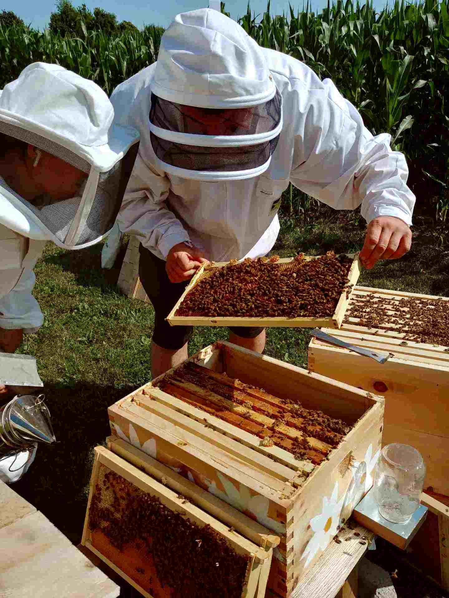 Honey