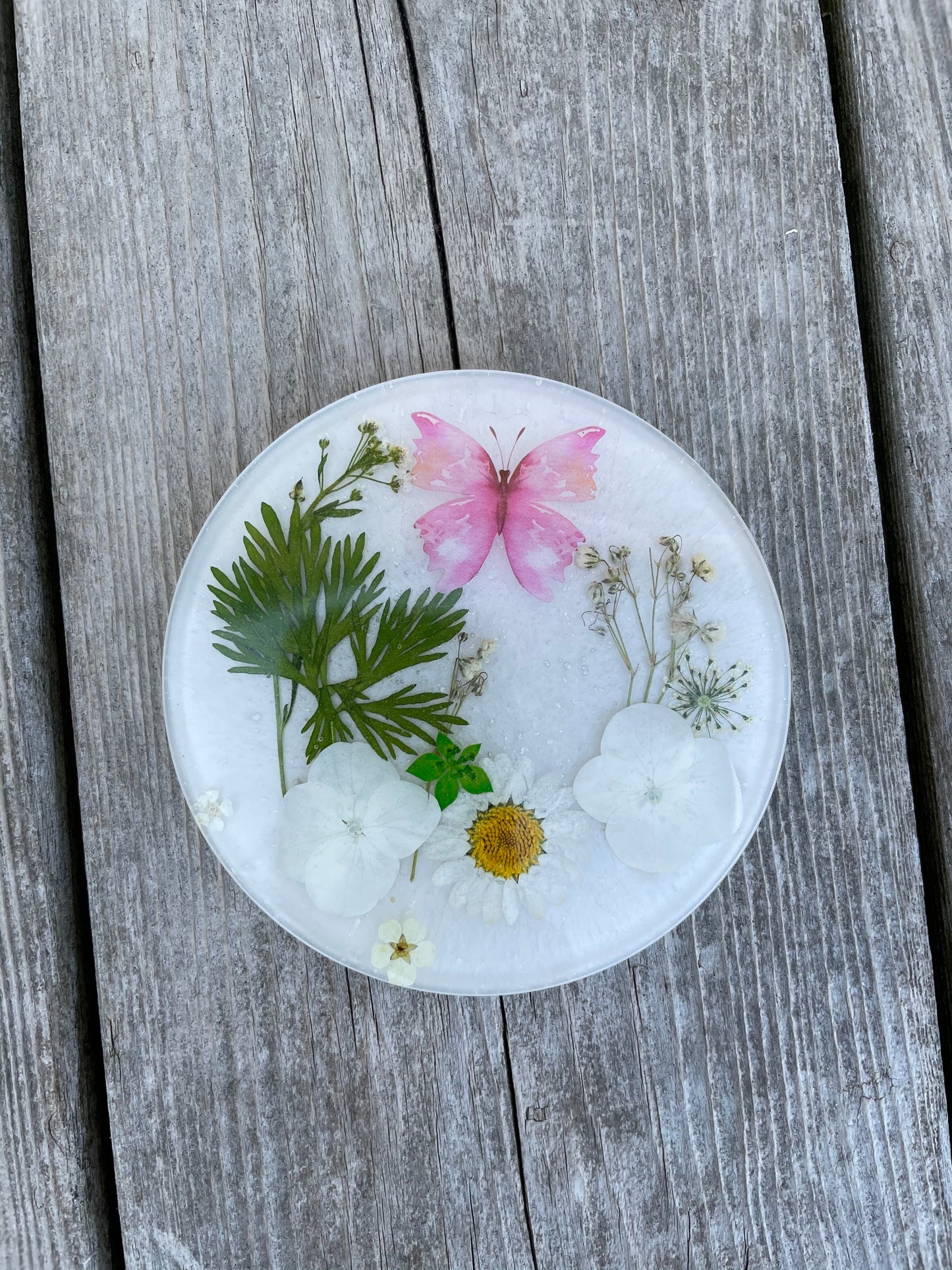 Butterly Floral Coasters